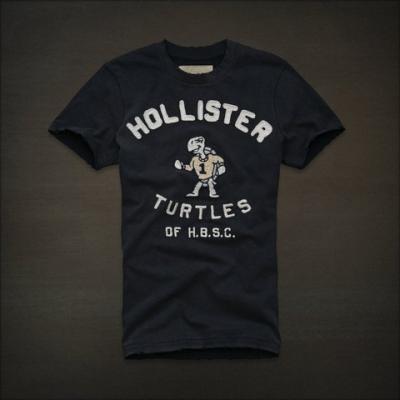 Hollister Men Shirts-331